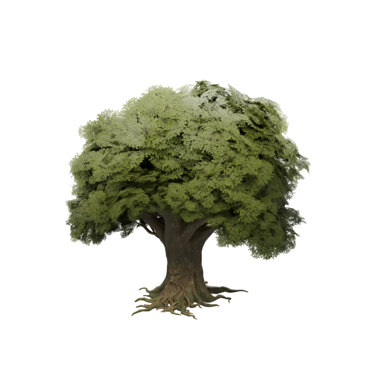 Odar source model in its idle pose