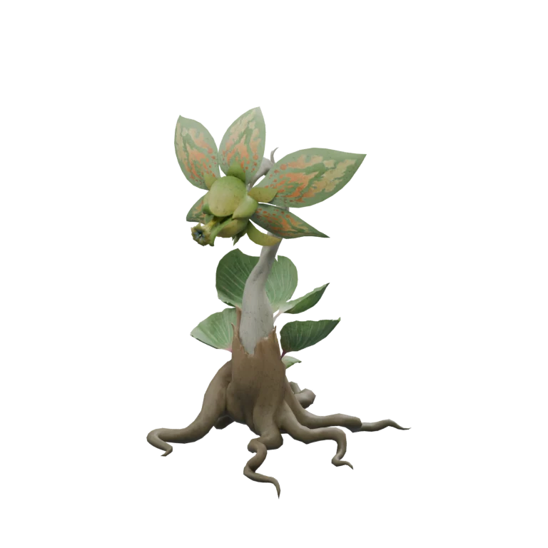 Forest Dionae source model in its idle pose