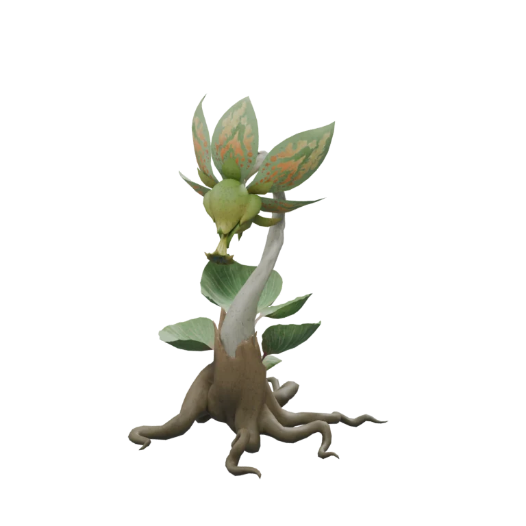 Withered Dionae source model in its idle pose