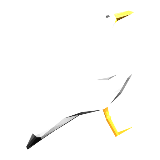 Seagull — source model