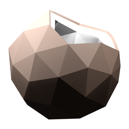 Coconut — source model
