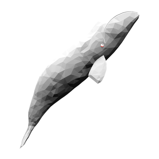 Bowhead Whale — source model