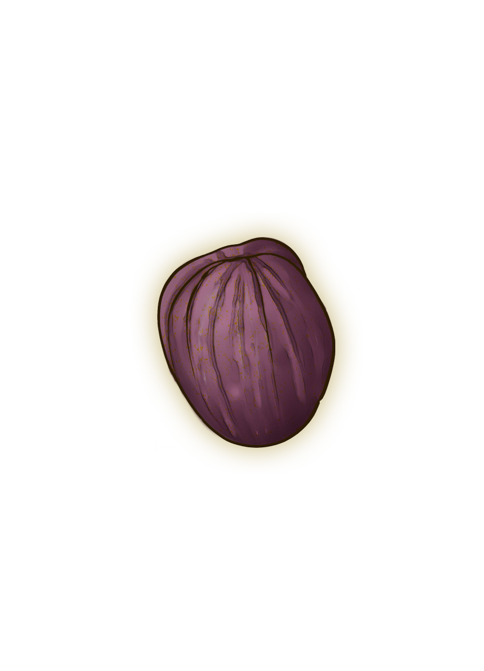 Irit Seeds