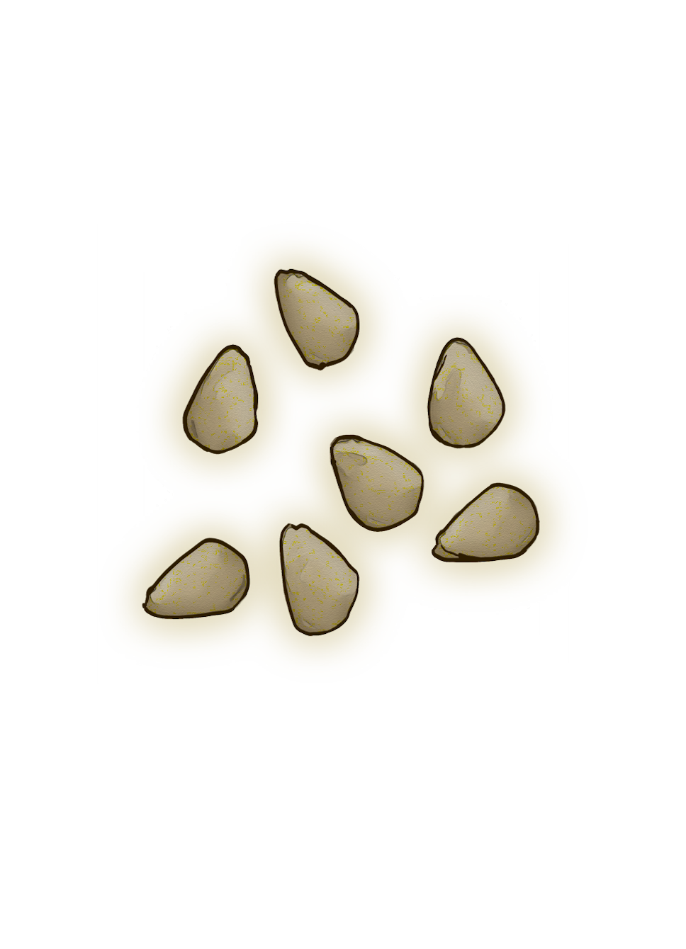 Tomato Seeds