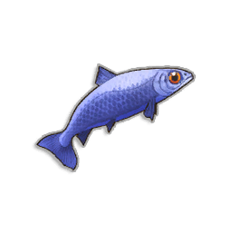 Pristine Anchovies