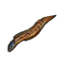 Steamed Beltfish