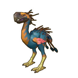 MOUNT: Coastal Sunbeak