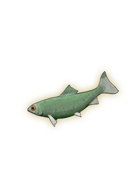Sardine