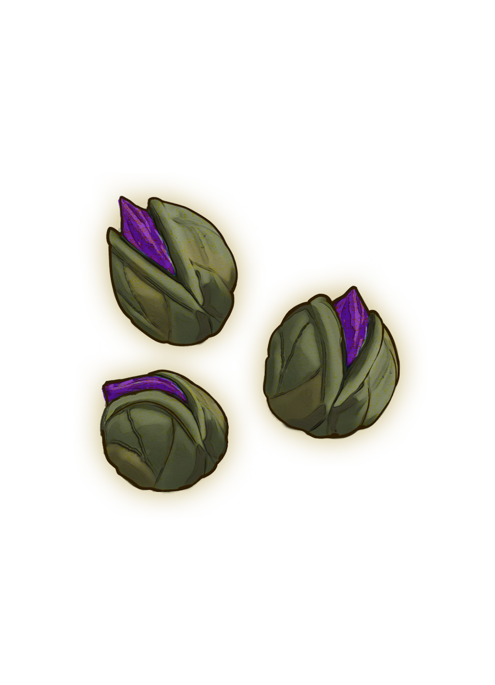 Snapdragon Seeds