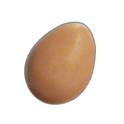 Egg