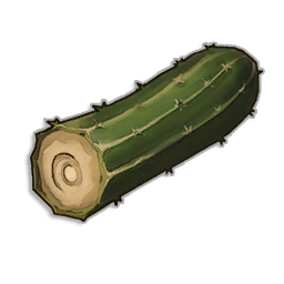 Fibrous Pipe Cactus