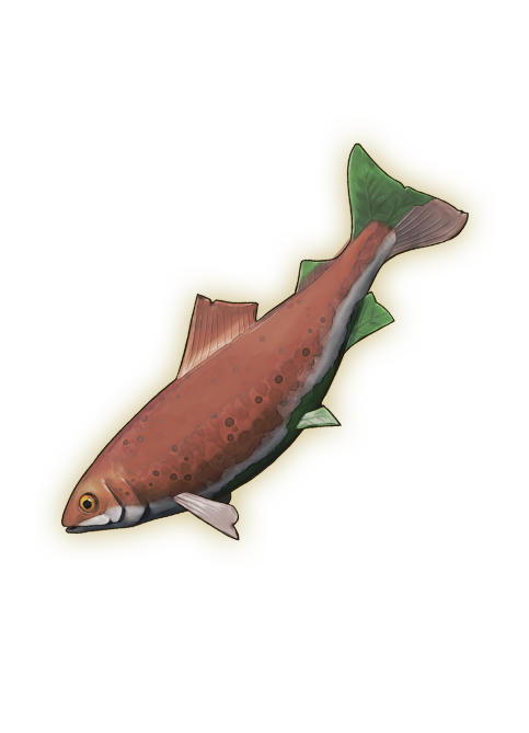 Trout