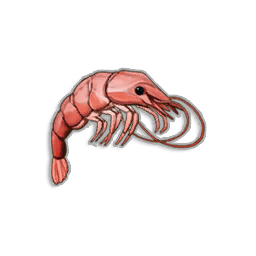 Pristine Shrimp