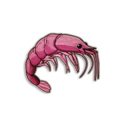 Pristine Giant Krill