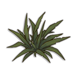 Weeds