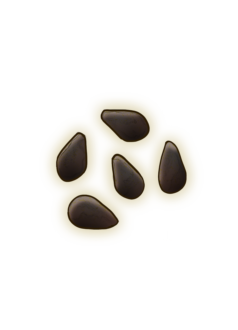 Watermelon Seeds