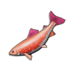 Pristine Salmon