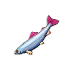 Pristine Herring