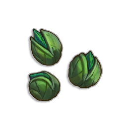 Avantoe Seeds