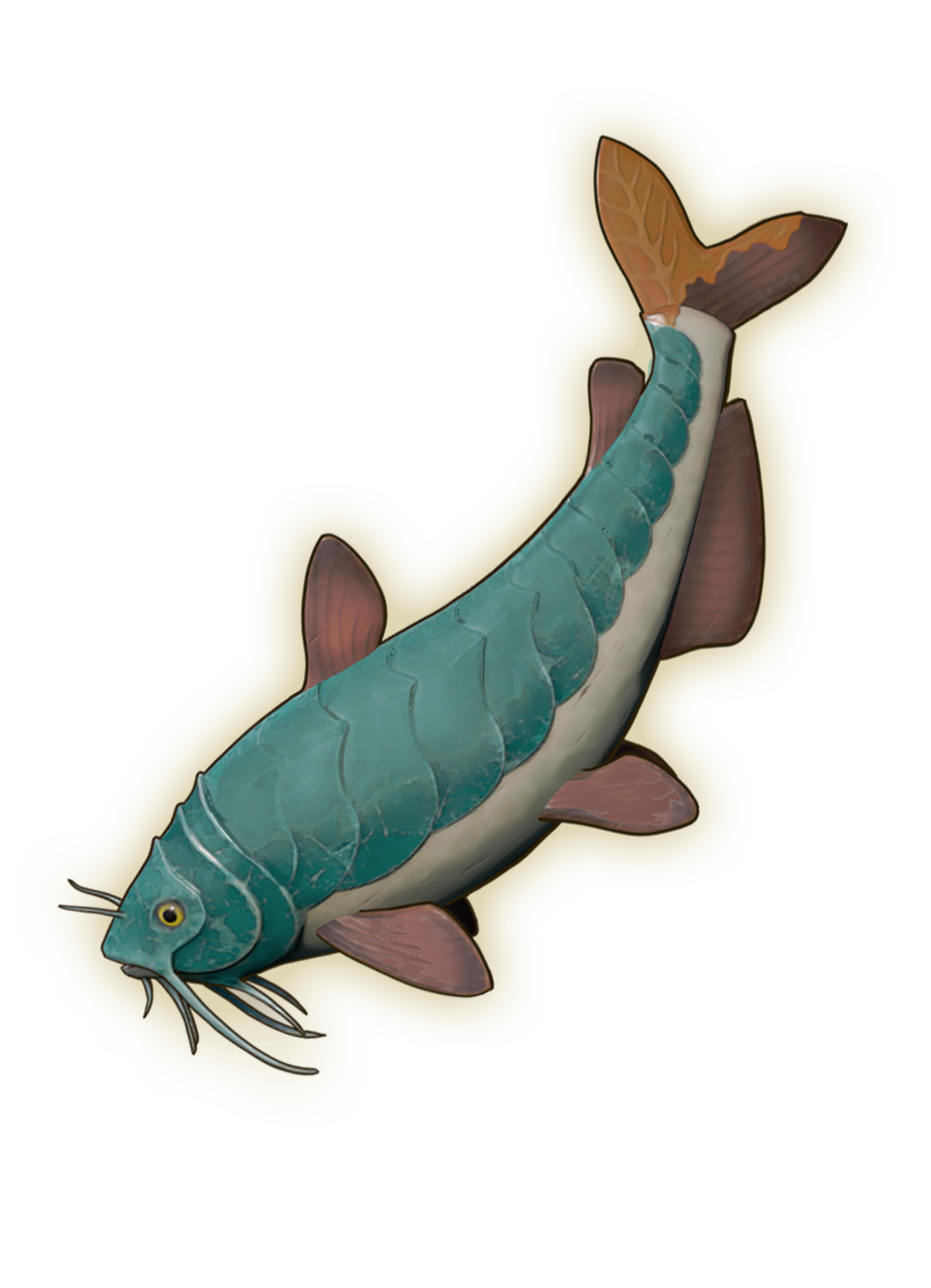 Armoured Catfish