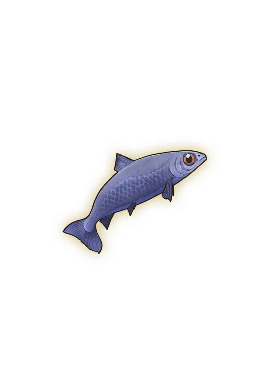 Anchovies