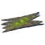 Ancient Bark icon