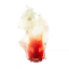 Surtling trophy artwork