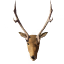 Deer Trophy icon