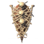 Bone Tower Shield icon