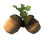 Acorns icon