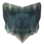 Carapace icon