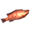 Coral Cod icon