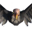Volture Trophy icon