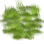 Grass icon
