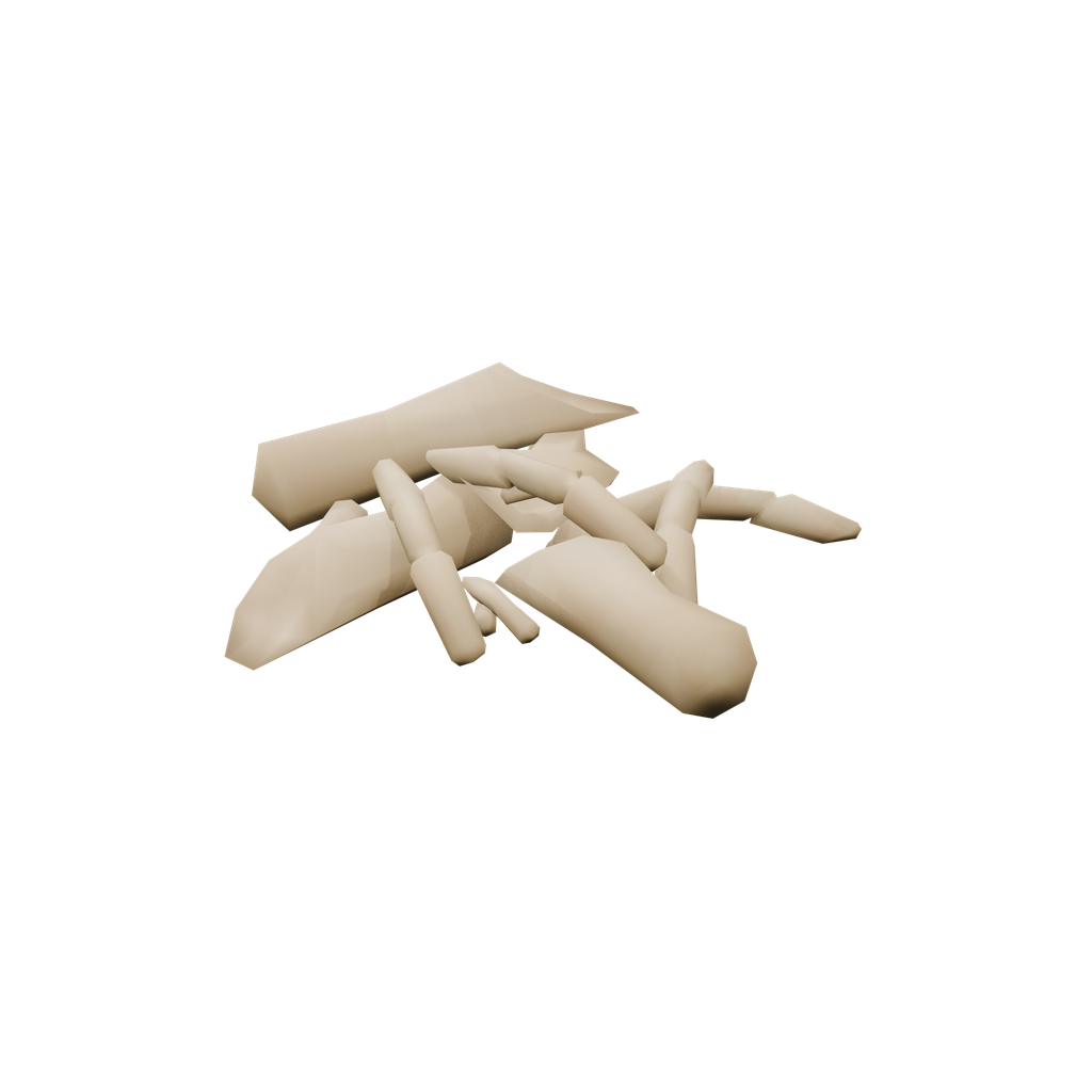 Bone Fragments