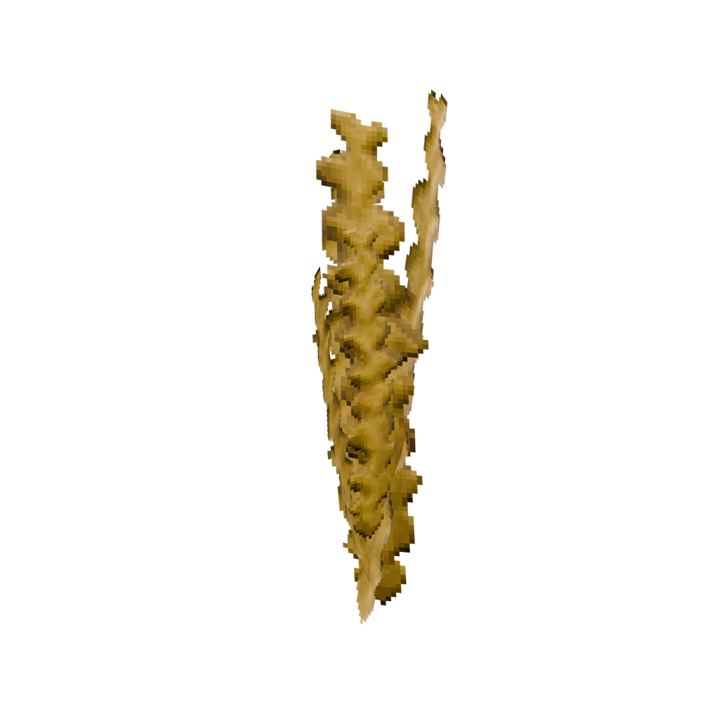 Fresh Seaweed