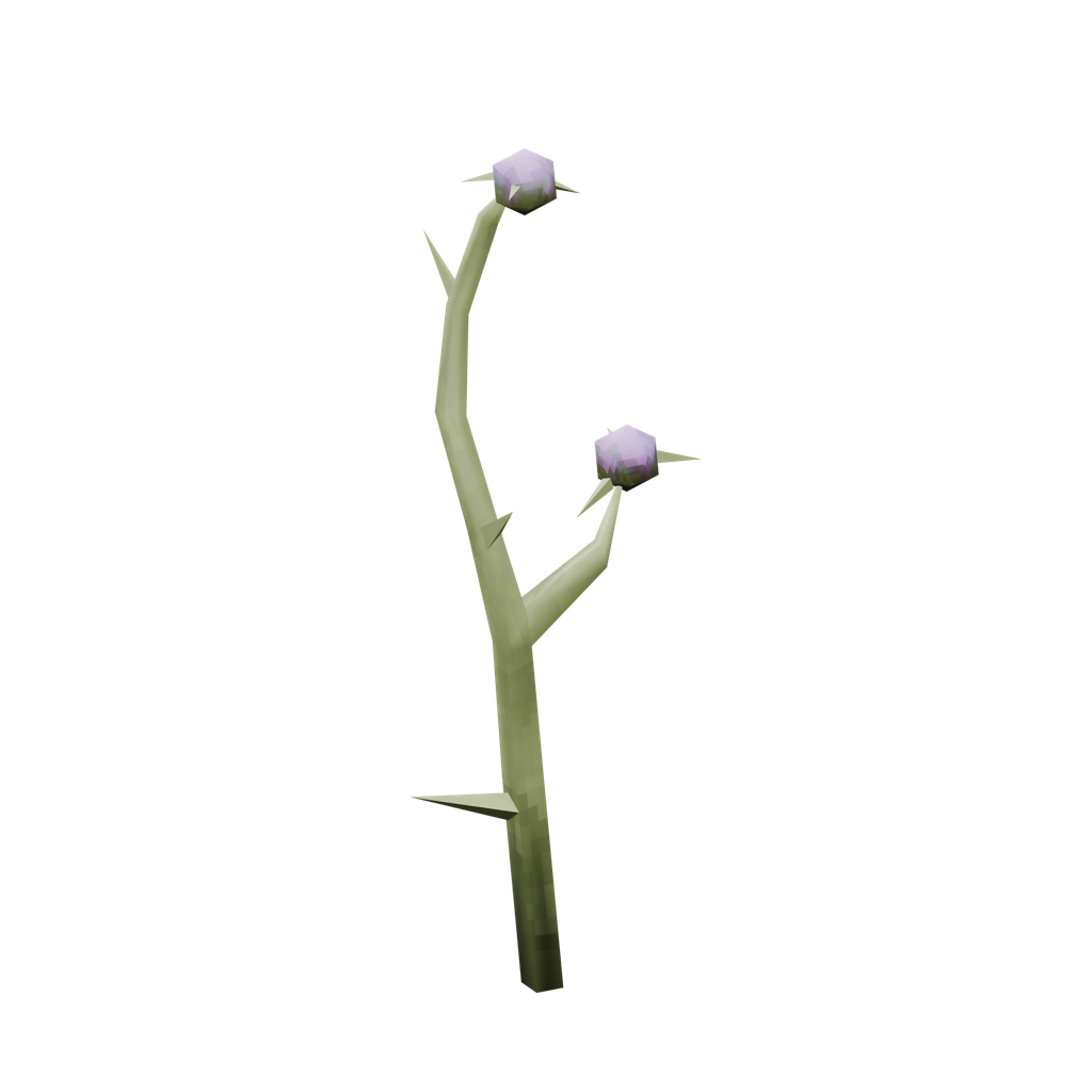 Thistle
