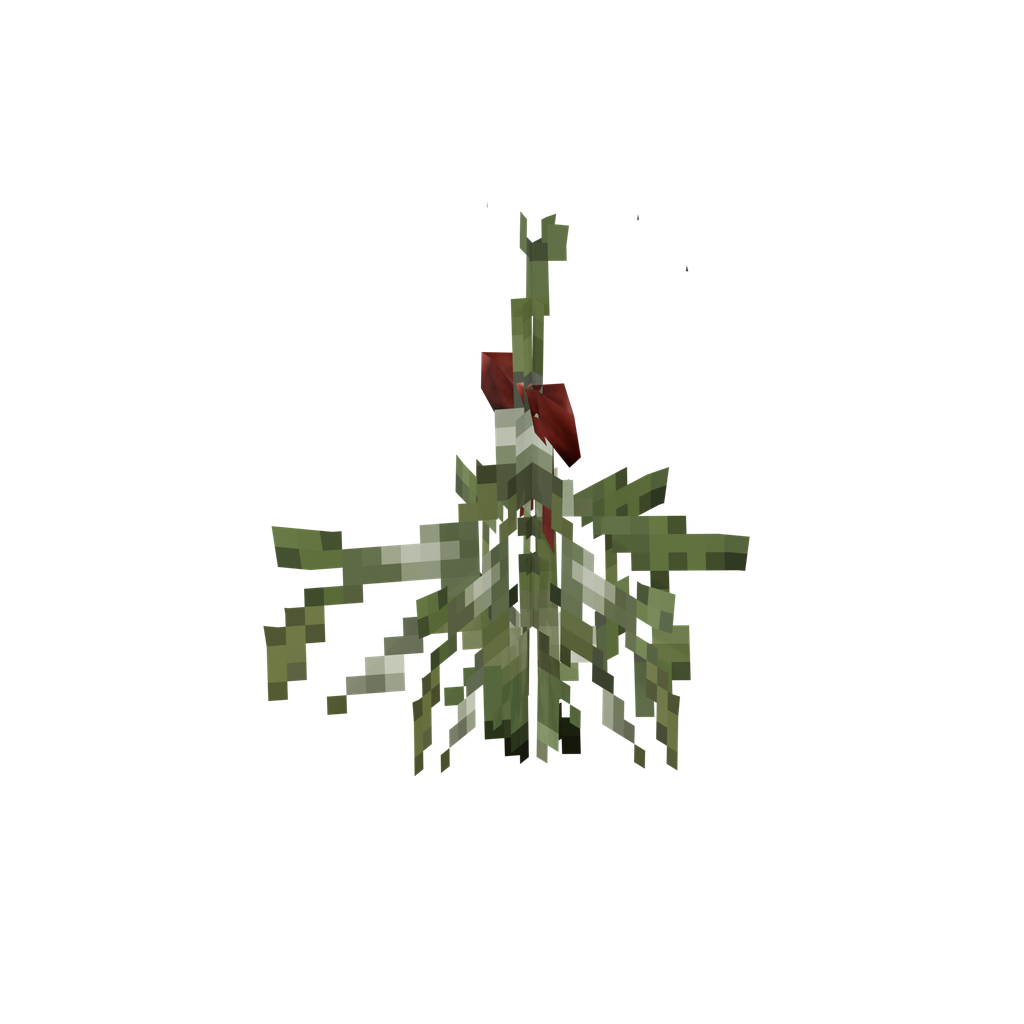 Mistletoe