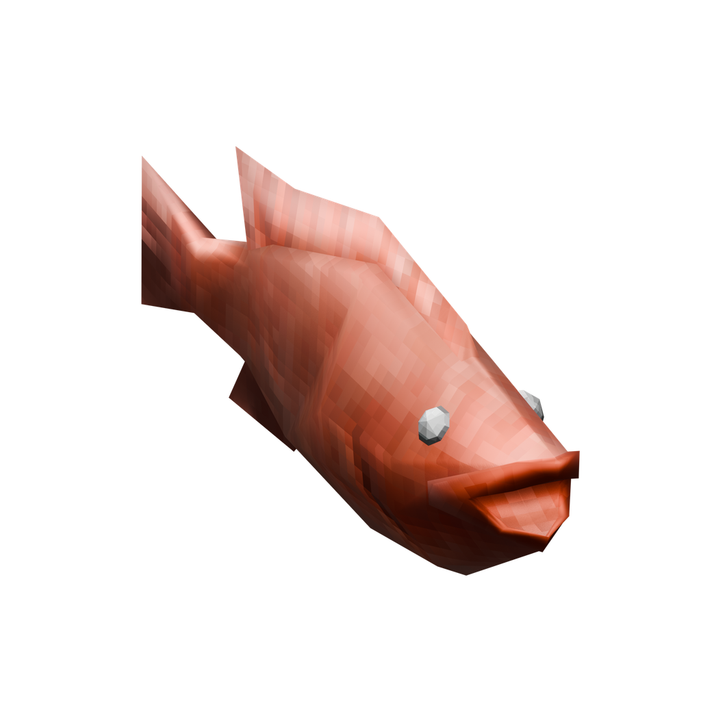 Coral Cod