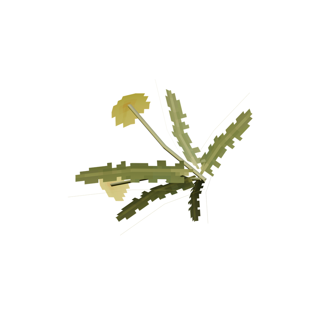 Dandelion