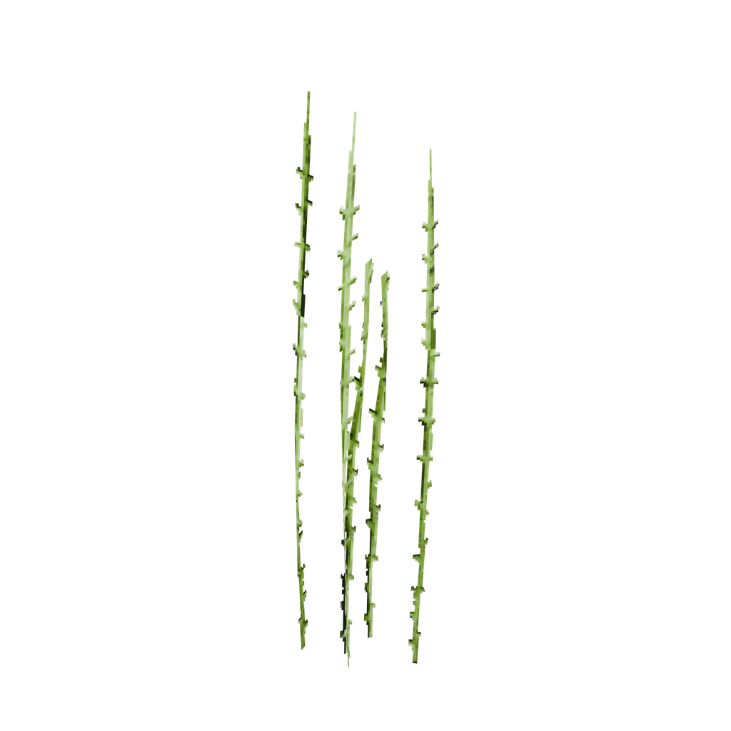 Flax