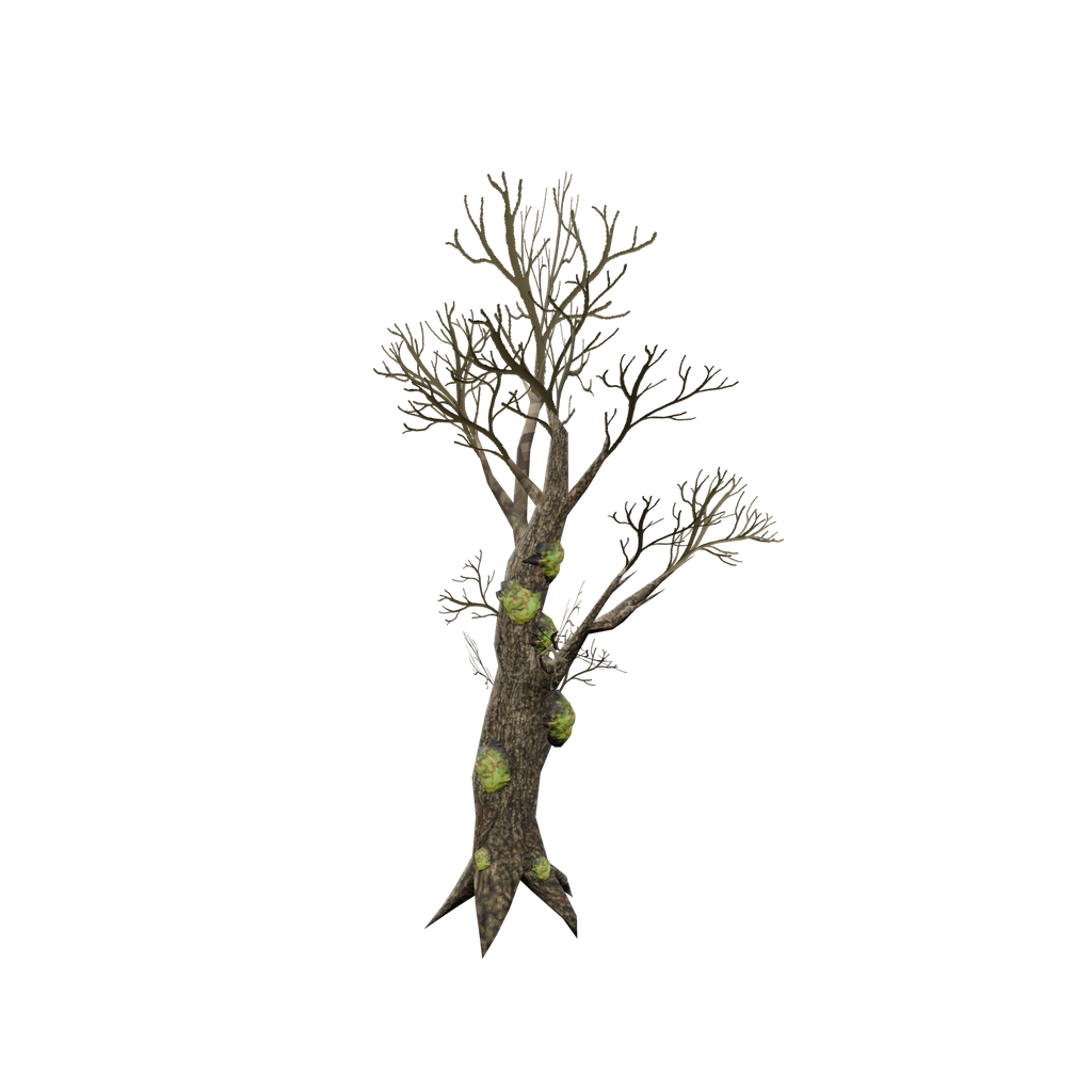 Infested Tree01