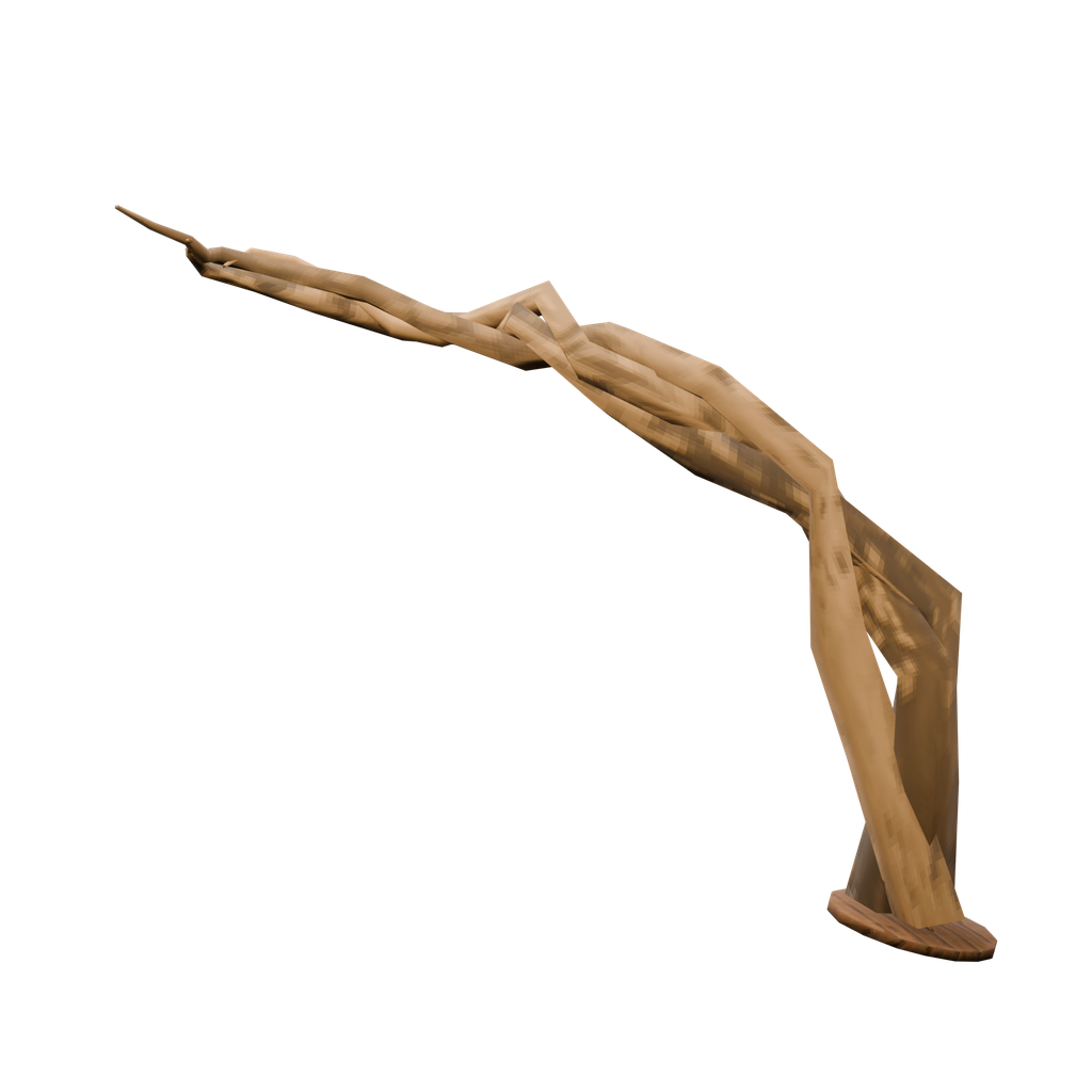 Root