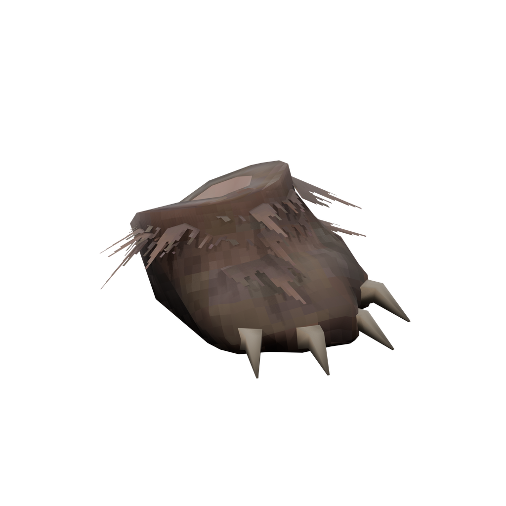 Bear Paw