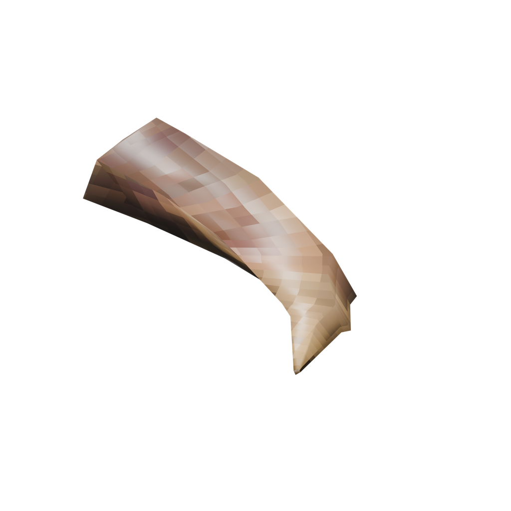 Mandible