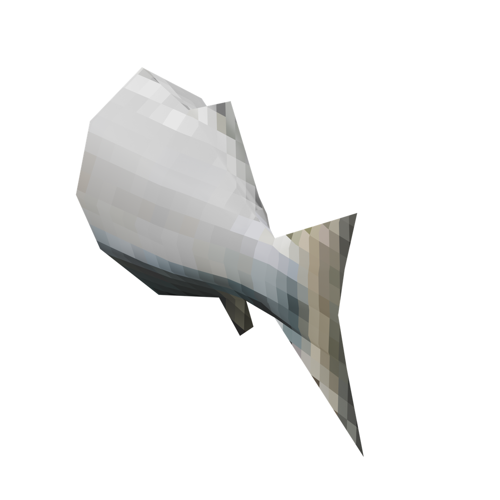Raw Fish