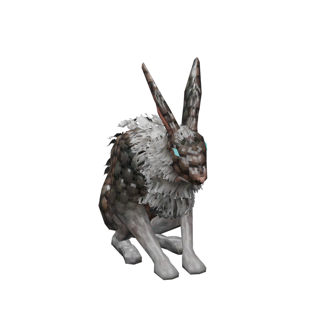 Hare
