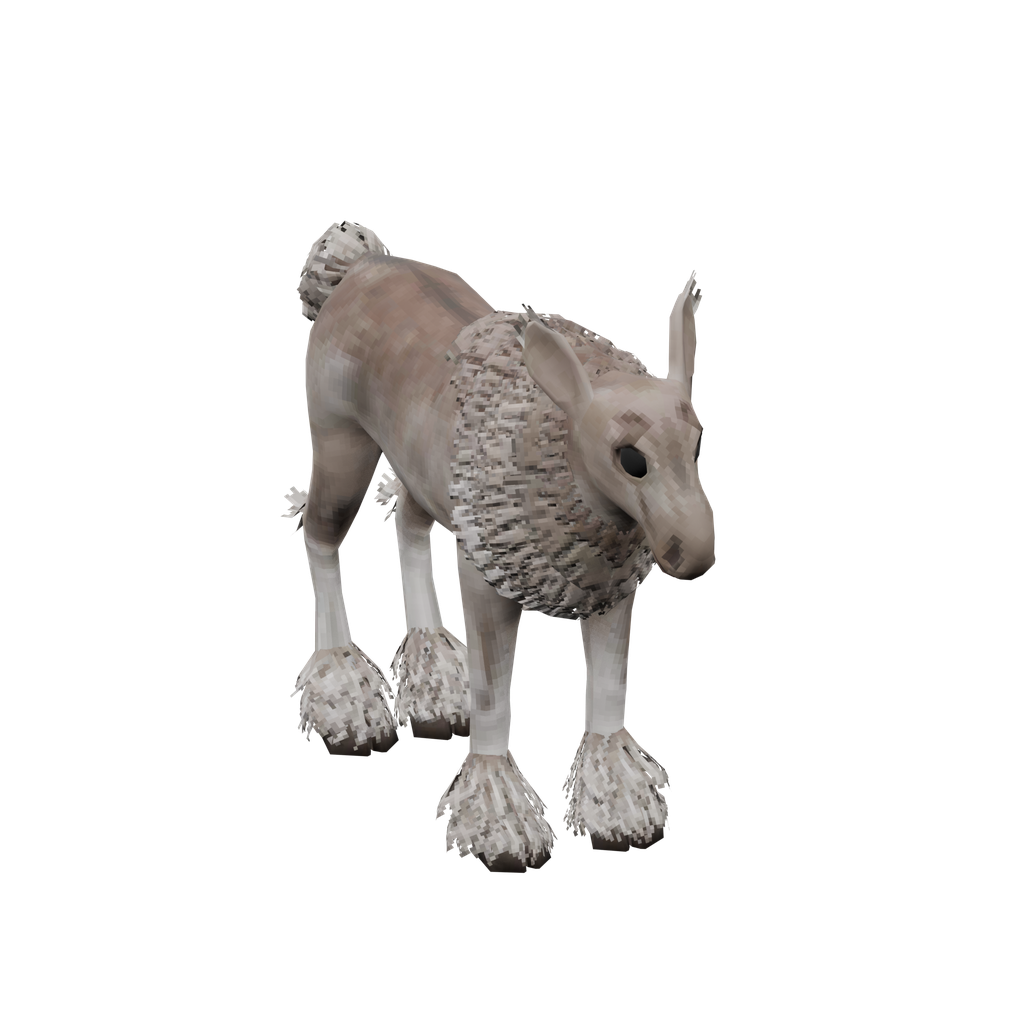 Moose Calf