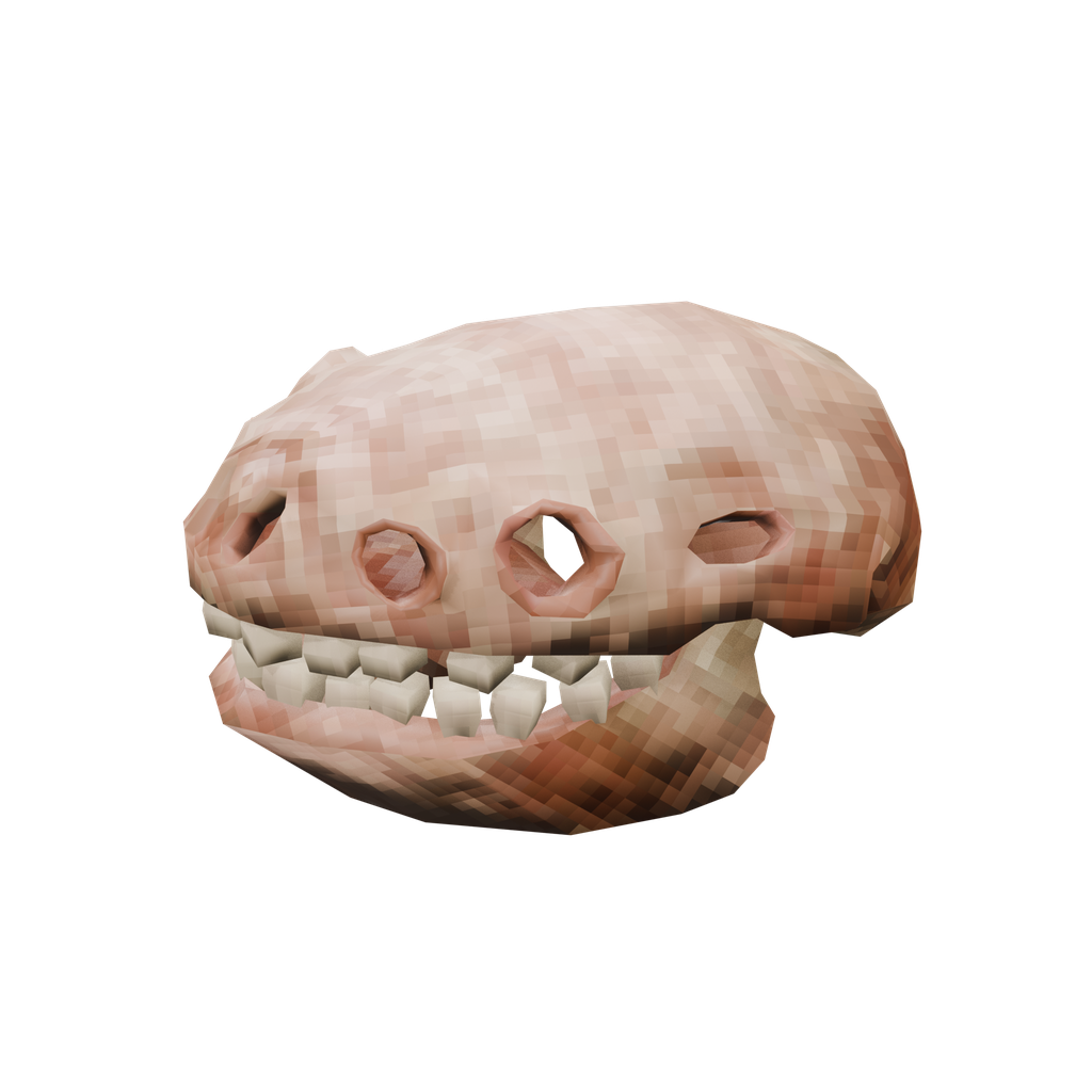 Asksvin Skull