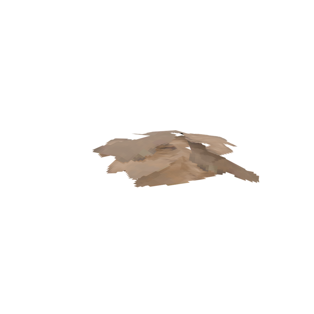 Leather Scraps